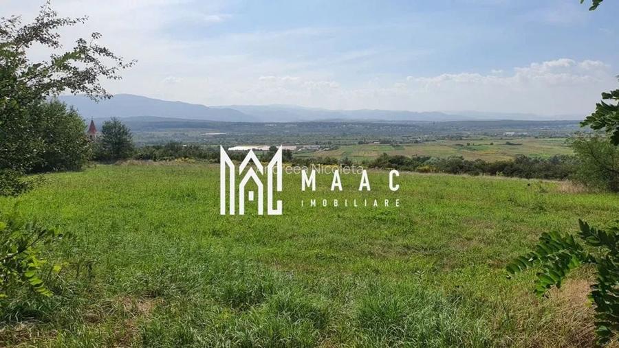 Teren | Mohu  | 1703 MP |