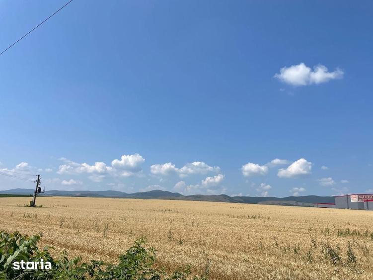 Terern pentru investitie in Bacau potrivit pentru proiect imobiliar - 14