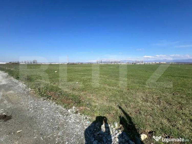 Teren de 8650 mp, în Abator