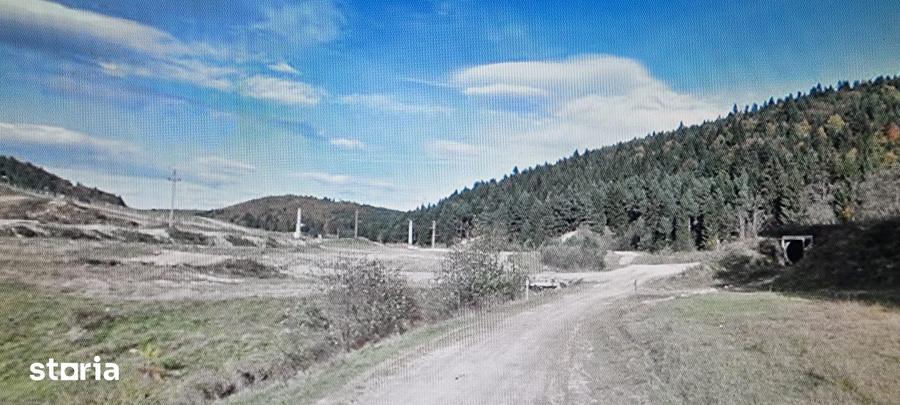 Teren de 10000 mp, în Central