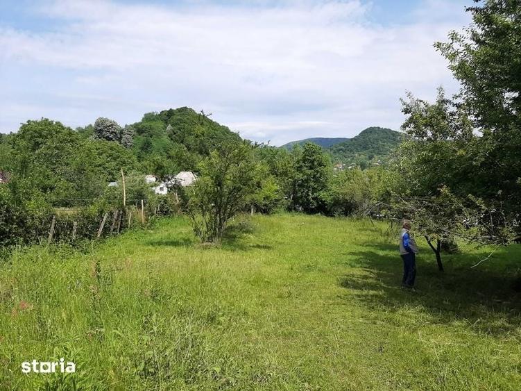 Teren de 2636 mp, în Vâlcea