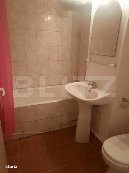 De vanzare apartament cu o camera Tudor, etaj intermediar - 4