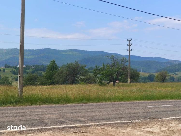 Casă cu 3 camere cu Teren 5000 Mp în Rădăuți