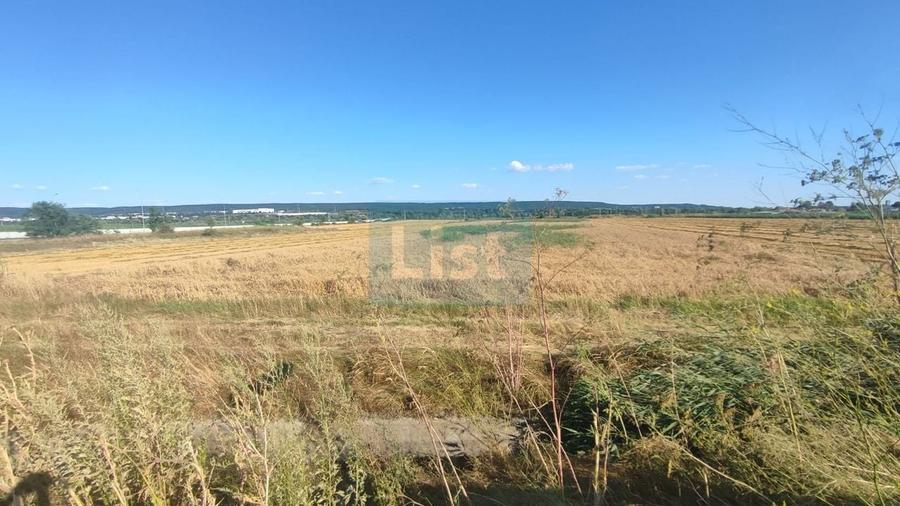 OFERTĂ PREMIUM – Teren intravilan 6.000 mp, Micești (Arges), pe DN 73 - 5