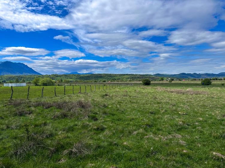 Teren Bran Zarnesti 3 km Castelul Bran 25 km Brasov - 8