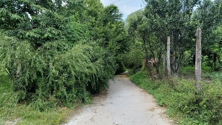 Casa si livada, de vanzare in localitatea Pausesti-Maglasi, sat Coasta. - 4