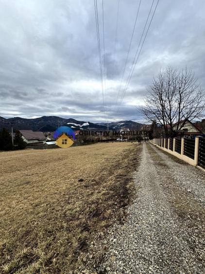 Teren Viisoara - comuna Alexandru cel Bun - 5