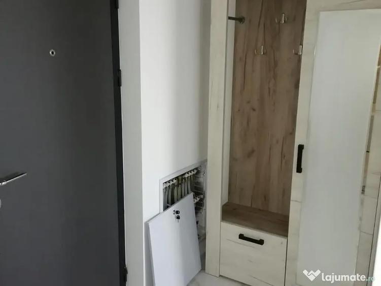 Apartament 1 camera Lunca Cetatuii - 3