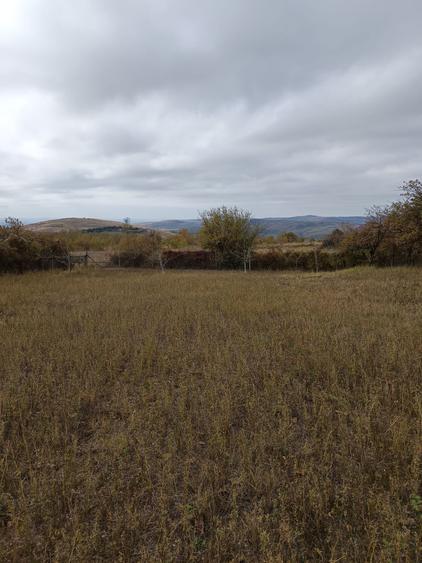 Teren intravilan Jugureni - Prahova - 3