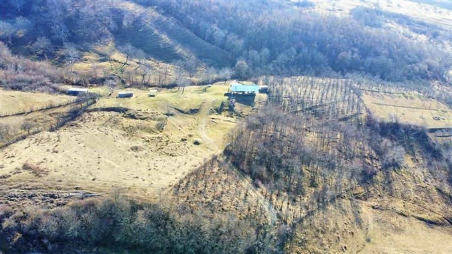 OPORTUNITATE DE INVESTITIE, TEREN 8630 MP, CALIMANESTI - 8