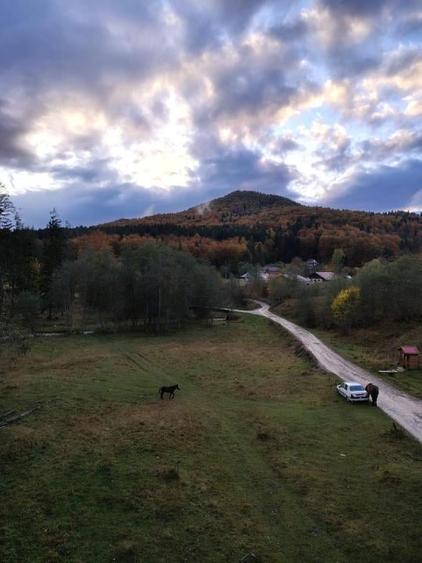 Oportunitate de investiție în stațiunea Cheia - 10