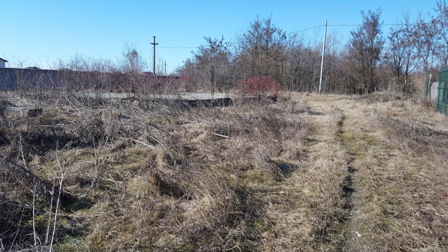 Clinceni str Ciocarliei,construibil,469mp,deschidere 21ml,utilitati,comision 0% - 3