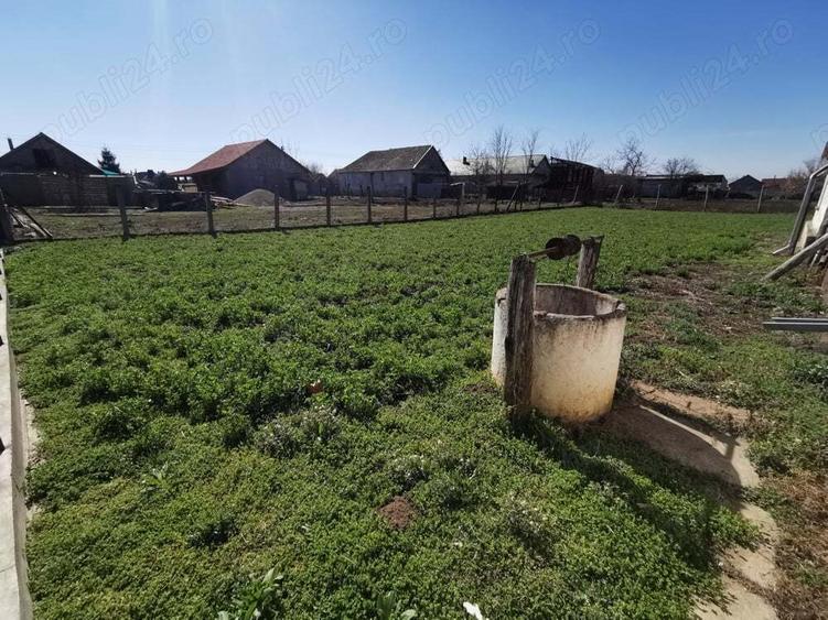 Casa de vanzare in Nadab - 9