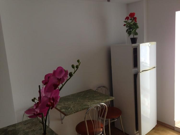 Apartament, Proprietar, 2 Cam, Mobilat, Centrala gaz - 7