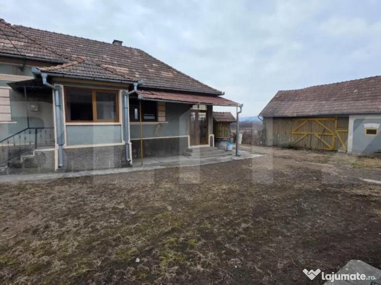 Doua case de vanzare, curte comuna, 4 camer 110mp, 50 ari - 1