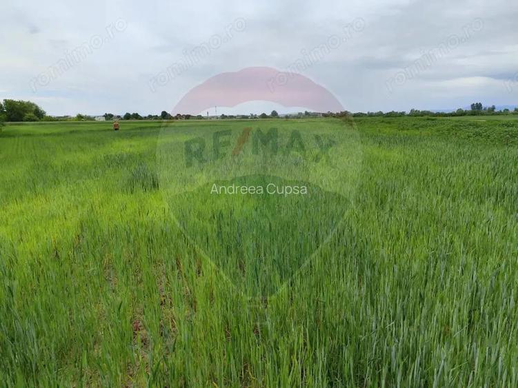 Teren extravilan de vanzare in Ulmeni!