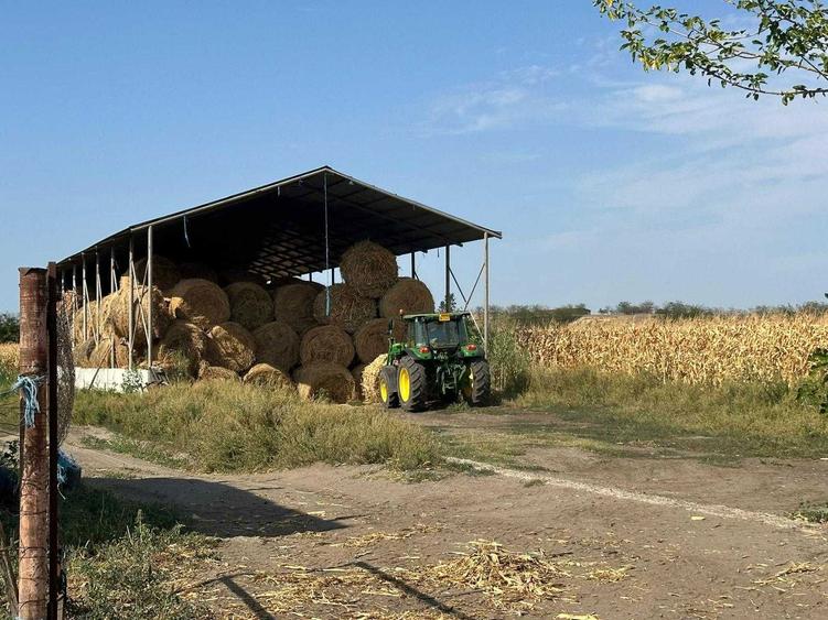 Teren intravilan, Ferma zootehnica sau hale - 3