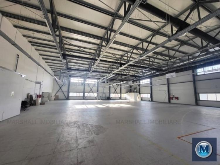 Spatiu industrial de inchiriat, zona Exterior Vest, 1185 mp #16782 - 3