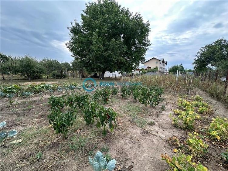 Royal Imobiliare - Vanzare vila zona Lipanesti - 33