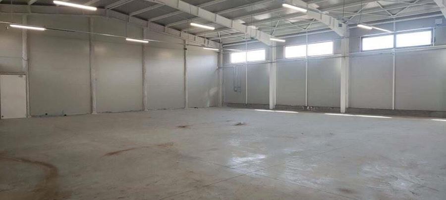 2 hale noi Voluntari -Afumati Doraly - 7