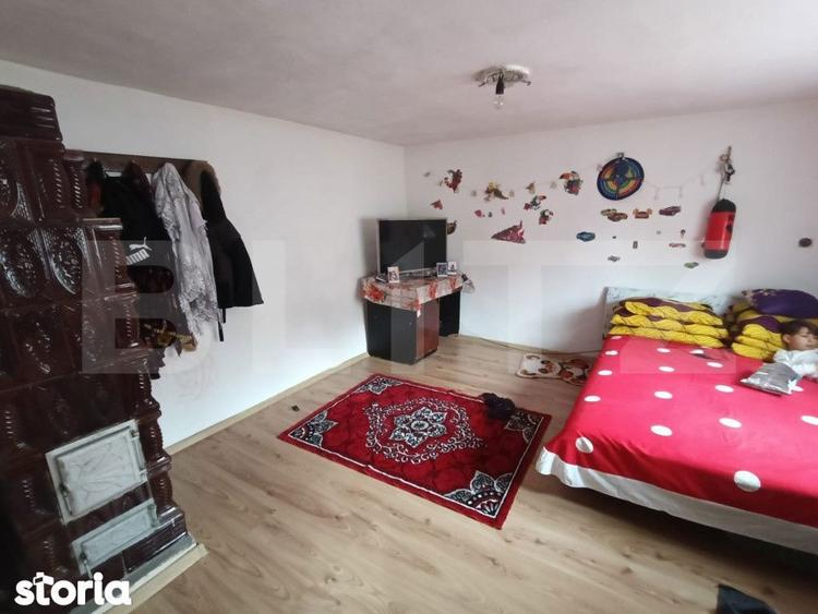 Casa renovabila 5 camere baie si anexe 2800 mp teren in Pianu de Sus - 10