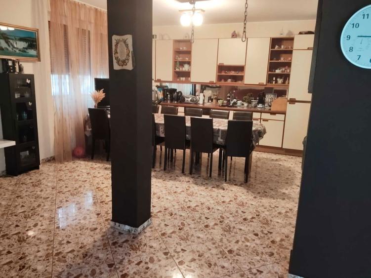 Casa de vinzare PINCOTA - 2