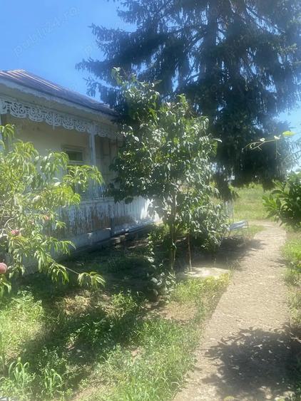 Casa batraneasca + teren, oras Insuratei, jud. Braila - 4