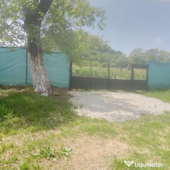 Casă cu 2 camere în Central