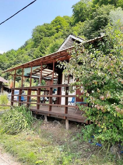Proprietate pe Valea Vâlsanului – Cabane din lemn + Casă ecologică COB - 7