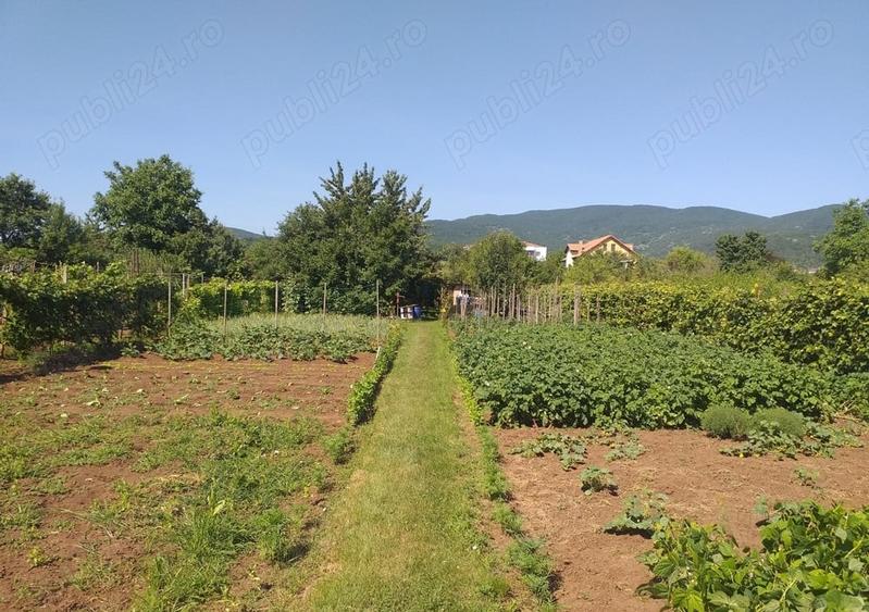 Teren Intravilan Vanzare 1400 mp. Alba Micesti deschidere 16m. Toate Utilitatile - 1