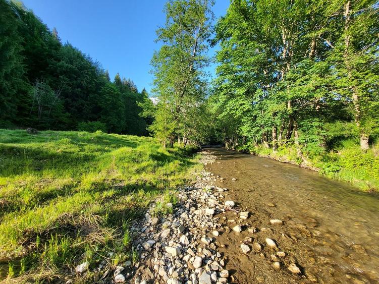 Teren de 12.000 mp la Vama Buzăului – Locație de Vis cu PUZ Aprobat - 12