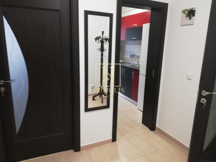 Apartament 1 camera Dec 40 mp. Bucium 300 euro - 4
