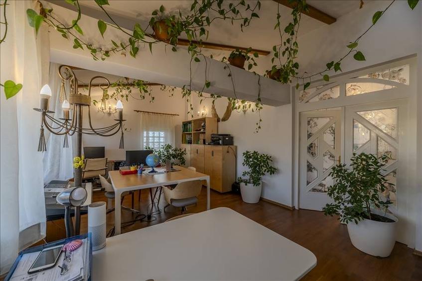 Vila   de LUX la vanzare in  Parcul Sub Arini - 7