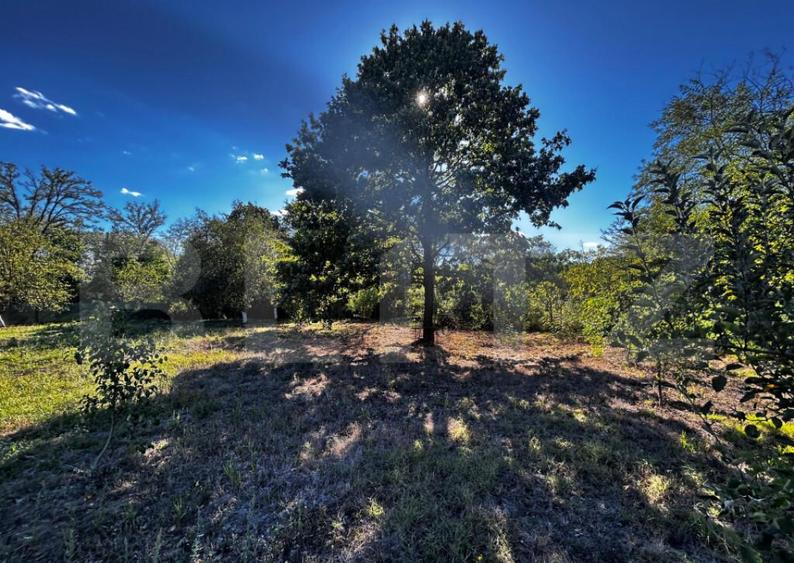 Doua casa de vanzare, teren intravilan 1773 mp, zona Stoloja - 3