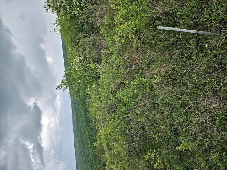 Teren de 2900 mp, în Corușu