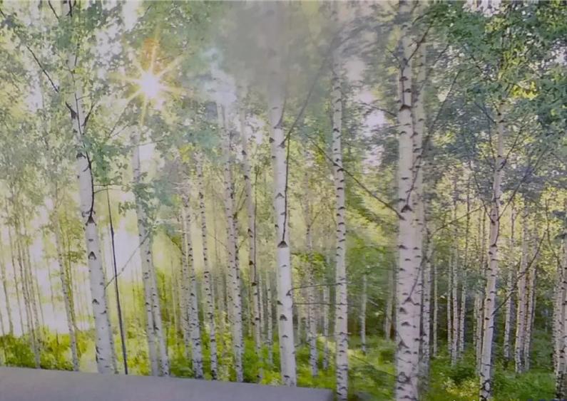 Garsoniera moderna, etaj intermediar, cadru natural, Noua Br - 2