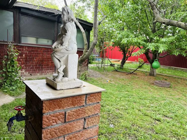 Casa Tandarei Ialomita Curte Garaj - 6