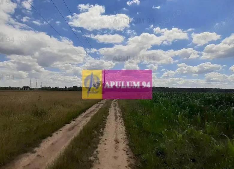 Teren 715mp in Snagov langa Equestria - 19