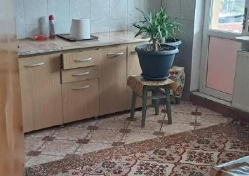 Agigea vila 8 camere de inchiriat, mobilata - 17