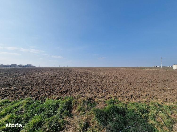 Oportunitate!! Teren 22.600mp cu deschidere la asfalt 114ml - 7