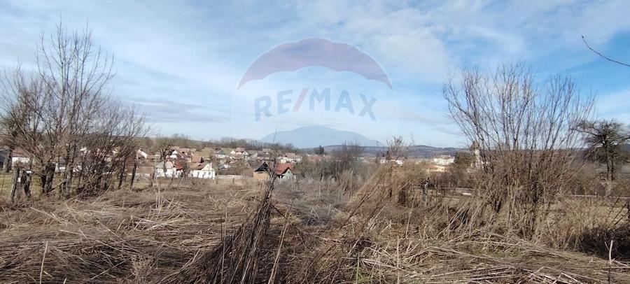 Casă cu 3 camere de vânzare in Chirpar - 3