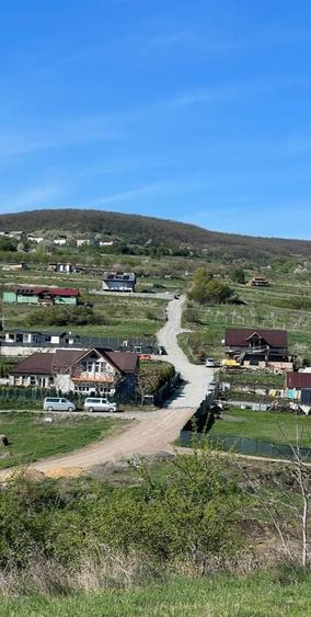 Teren parcelabil 5300 mp zona Lomb - 5