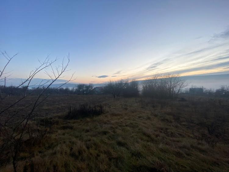 Teren de vanzare 5.370 mp - Dobrovat - 4