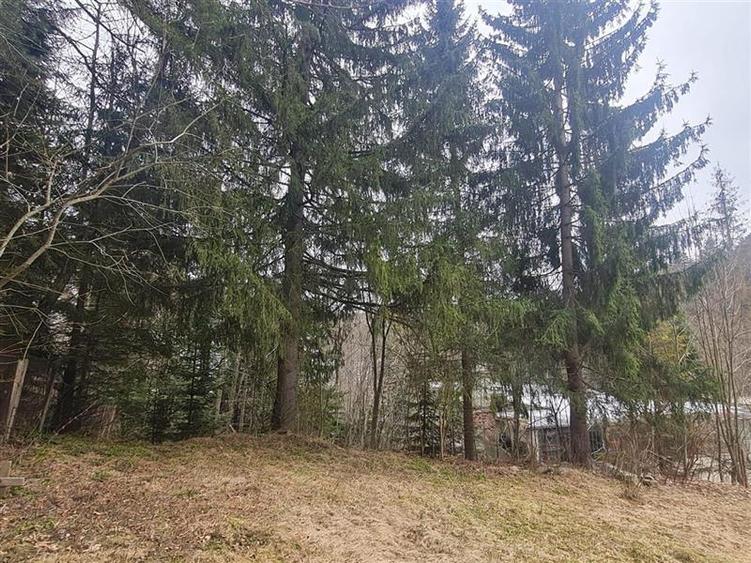 Incadrata de 4.200mp teren, Vila cu potential turistic, in inima Predealului - 6