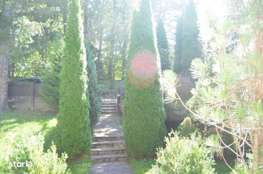 Predeal-Casa de vacanta 4 (patru)camere - 2
