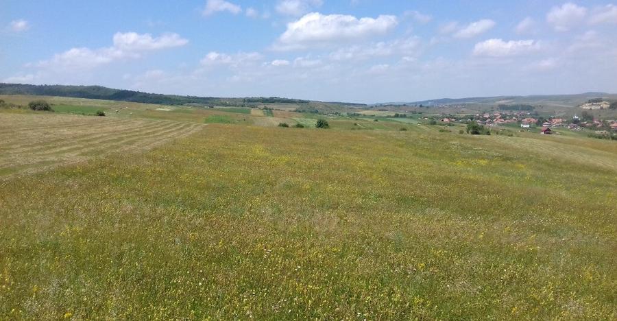 Vand teren intre Popesti si Corusu(jud. Cluj),in apropierea padurii - 1