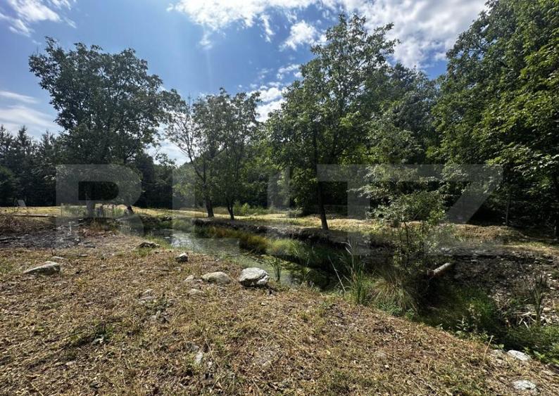 Teren, 12 000 mp, zona Crasna - 3