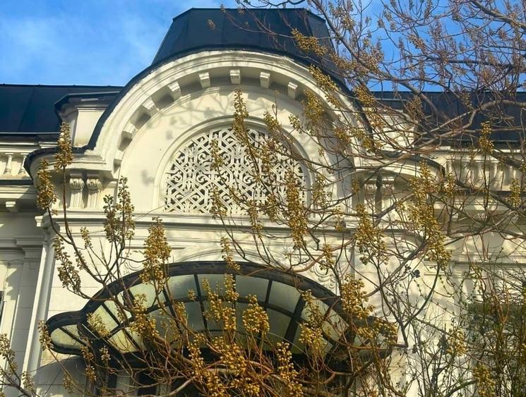 Imobil cu arhitectura unica, teren 700 mp cartierul Evreiesc - 2