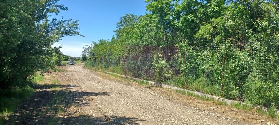 Săbăreni, lot de casă 500 mp, curent lângă teren - 1