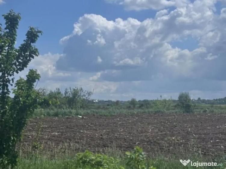 Teren extravilan, 7800mp, Burla - 3